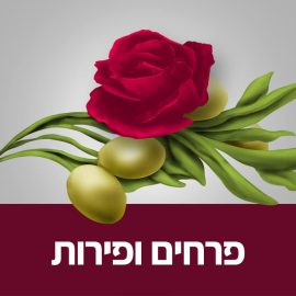 Flowers and fruits