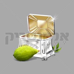 קופסה ואתרוג