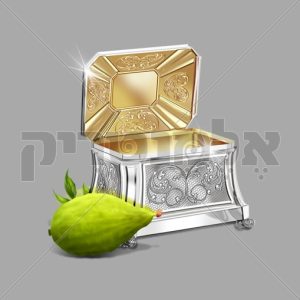 קופסה ואתרוג