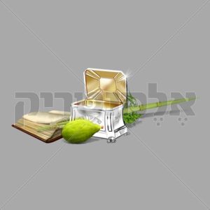 סוכות