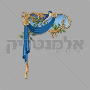 זוית דקורטיבי