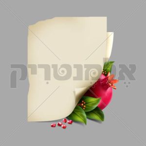 באנר רימון