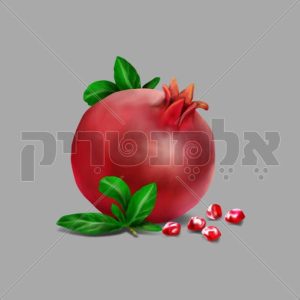 רימון
