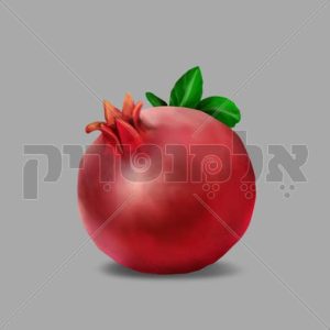 רימון
