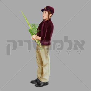 ילד ולולב