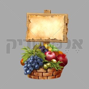 פירות