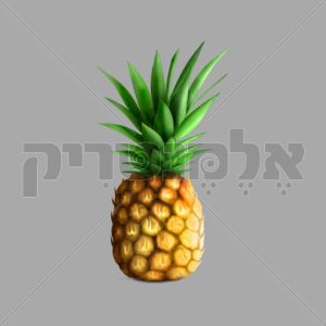אננס