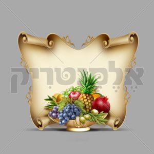באנר