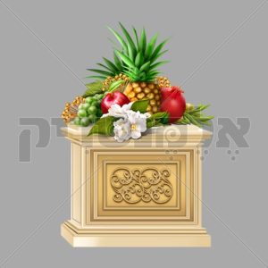 בסיס פירות