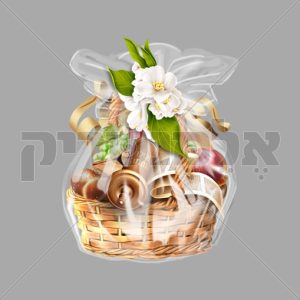 משלוח מנות