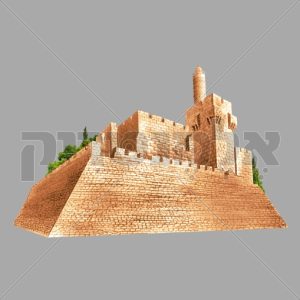 מגדל דוד אורות יום