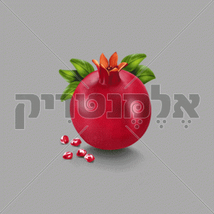 רימון