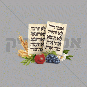 שני לוחות הברית