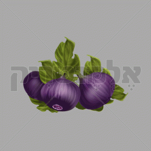 תאנים