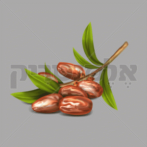 תמרים