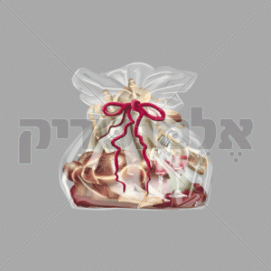 משלוח מנות
