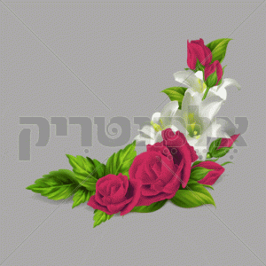 זוית פרחים