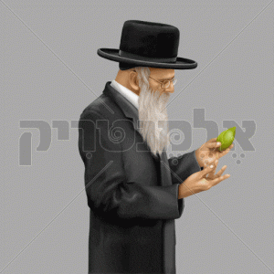 יהודי בודק אתרוג