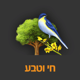 Living and nature