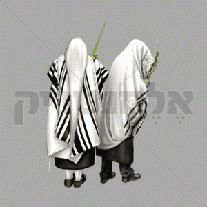 נענועים בלולב