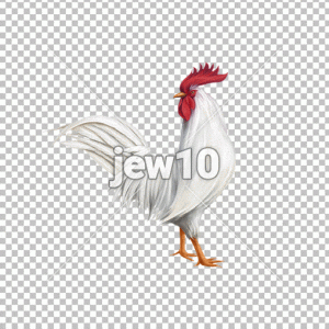 תרנגול