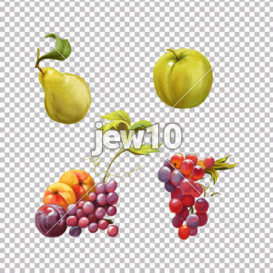 פירות