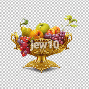פירות