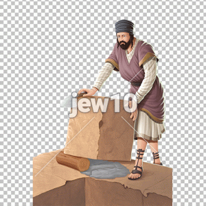 בונה
