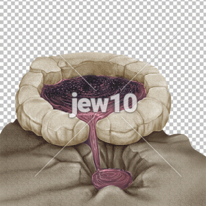 גת לדריכת ענבים
