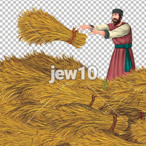 מעמר