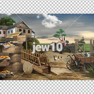 שדה בשנת שמיטה
