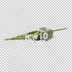 ד' מינים