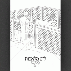 צד
