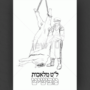 מפשיט