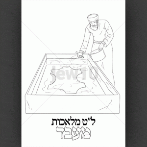 מעבד