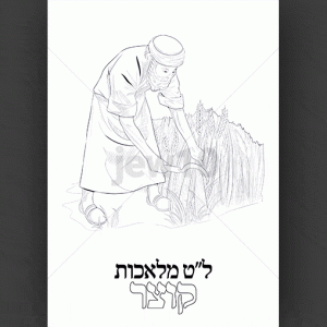 קוצר
