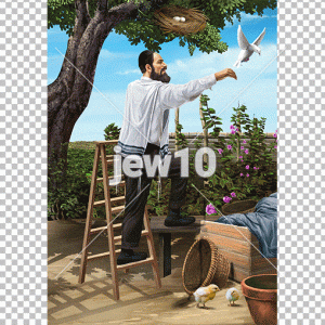 שילוח הקן