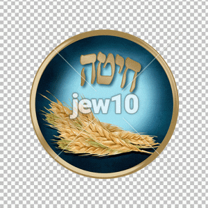 חיטה