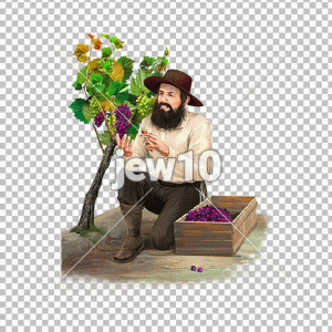 פרט כרמך