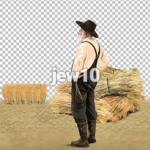 פאה