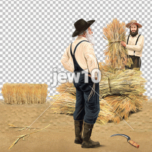 פאה