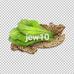 מצה ומרור