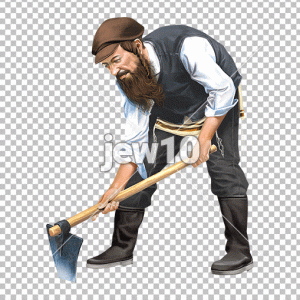 ניכוש