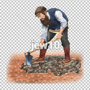 ניכוש