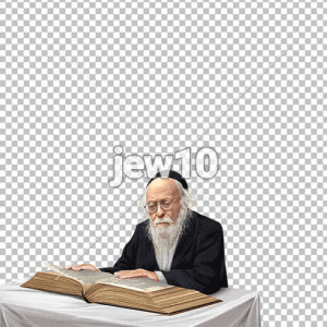 הרב יוסף שלום אלישיב זצ"ל