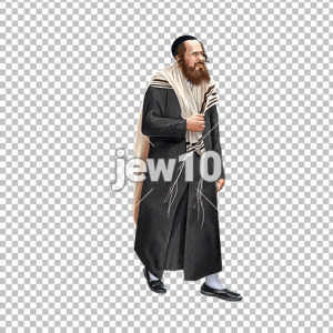 חסיד