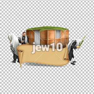 סוכות