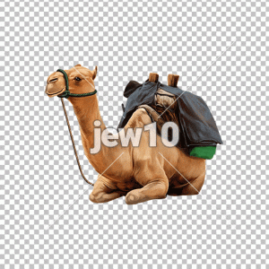 גמל