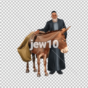אדם וחמור