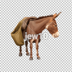 חמור
